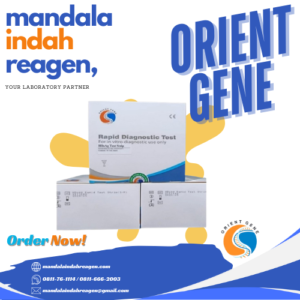 ORIENT GENE HBsAg