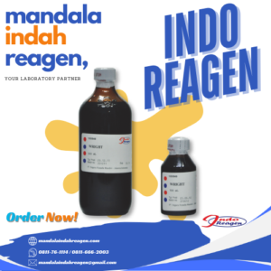 INDOREAGEN Wright