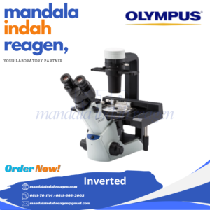 OLYMPUS - Inverted